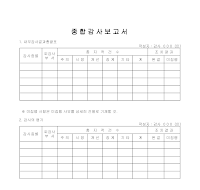 종합 감사 보고서 종합 감사 보고서